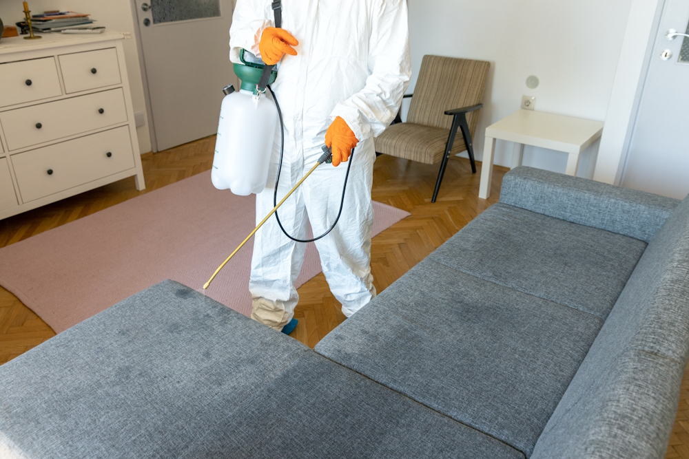 A man spraying protective treatment on a sofa.